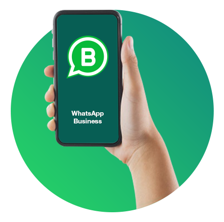 WhatsApps Business Virtual Landlines